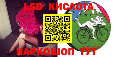дмт Будённовск