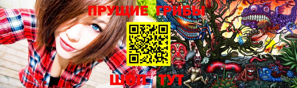 Псилоцибиновые грибы мицелий  Вход с VPN  Новотроицк 